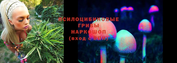 хмурый Алексин