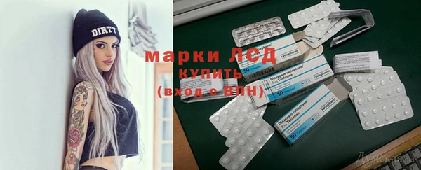 хмурый Алексин