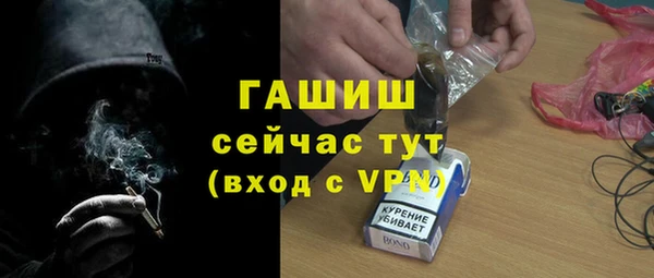 хмурый Алексин