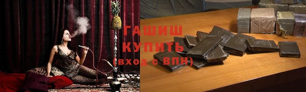 хмурый Алексин