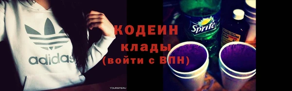 хмурый Алексин