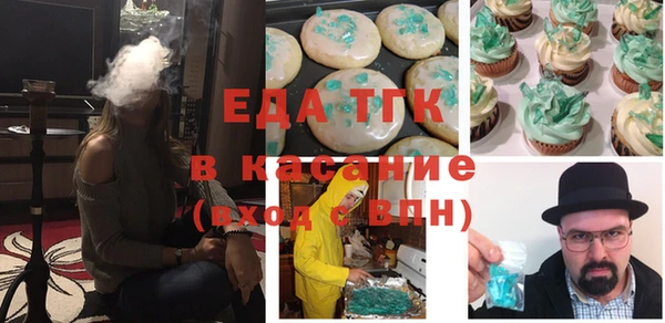 хмурый Алексин