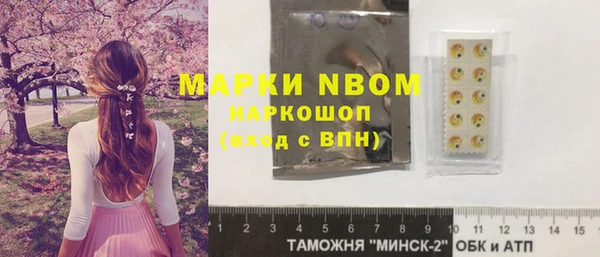 хмурый Алексин
